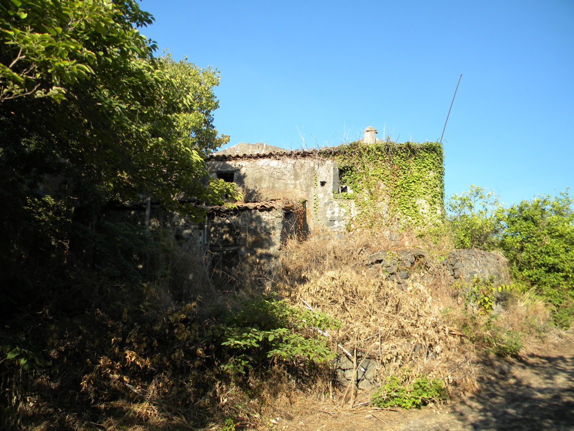 DSCN8047 .JPG